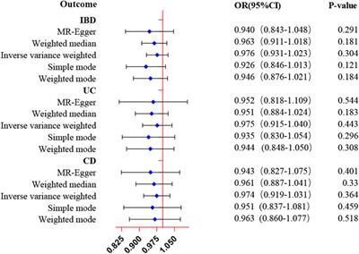 Genetic liability to inflammatory bowel disease is causally associated with increased risk of erectile dysfunction: Evidence from a bidirectional Mendelian randomization study